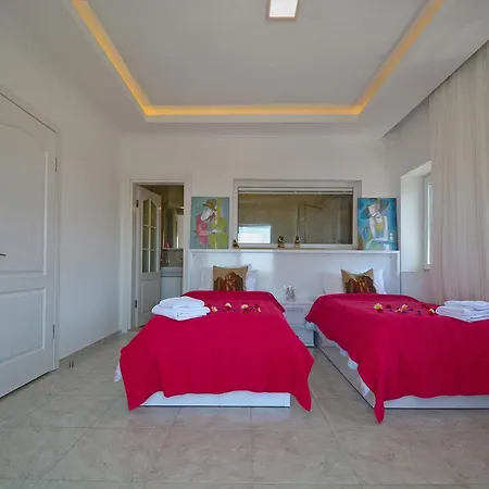 Alisa Villa *